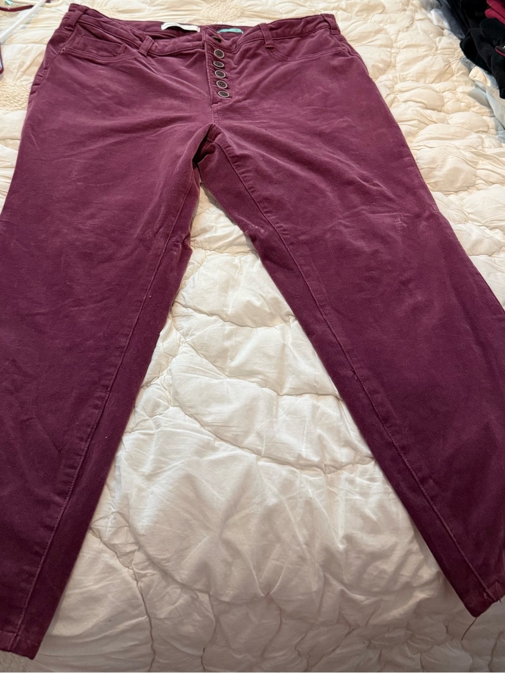 Anthropologie Burgundy Skinny Button-Fly Pants